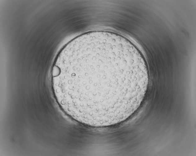 X0000111201053200908121106