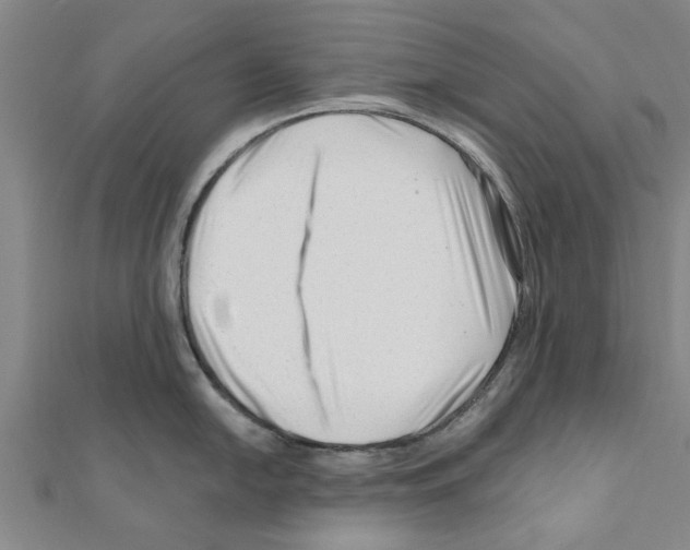 X0000111201054200908121106