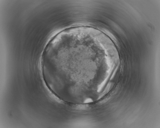 X0000111201055200908121106