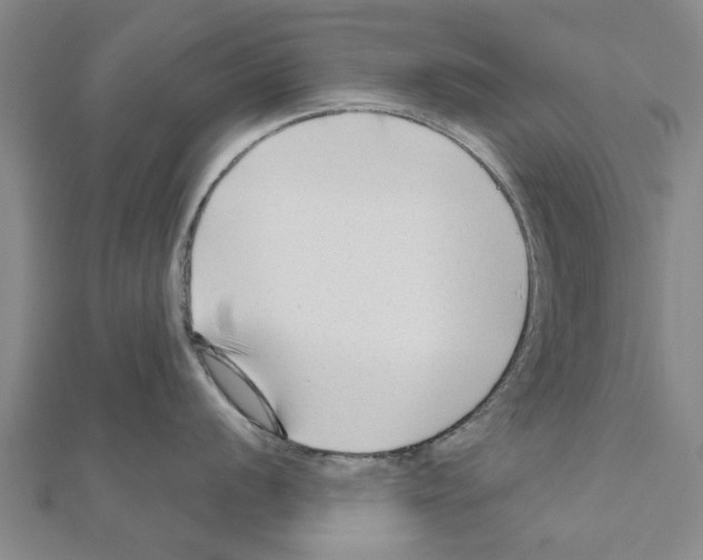 X0000111201056200908121106