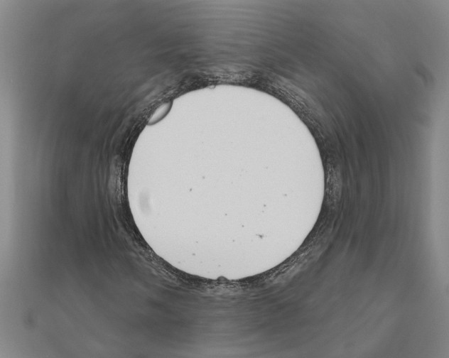 X0000111201058200908121105