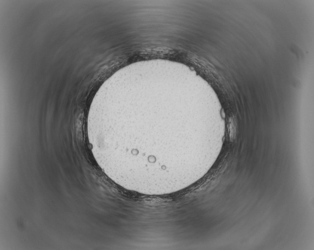 X0000111201059200908121105