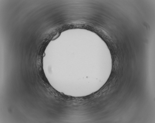 X0000111201062200908121105