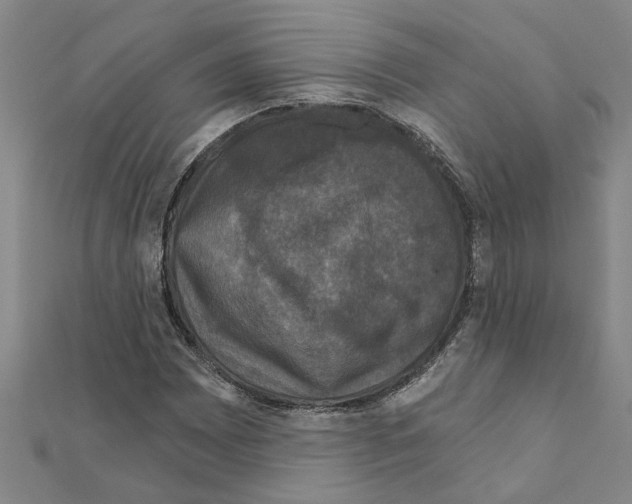 X0000111201065200908121105