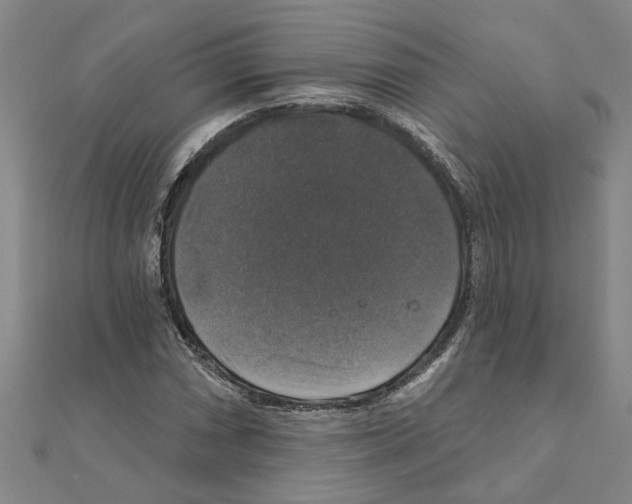 X0000111201066200908121105