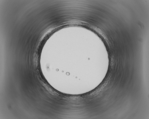 X0000111201067200908121105