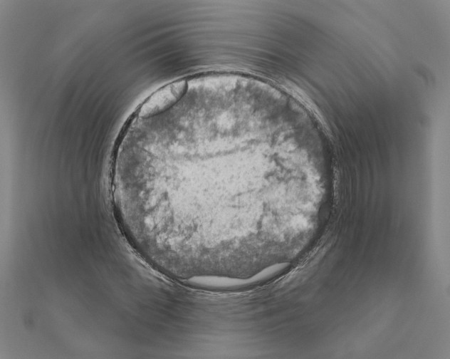 X0000111201068200908121105