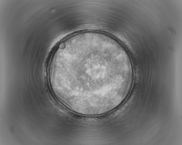 X0000111201070200908121105