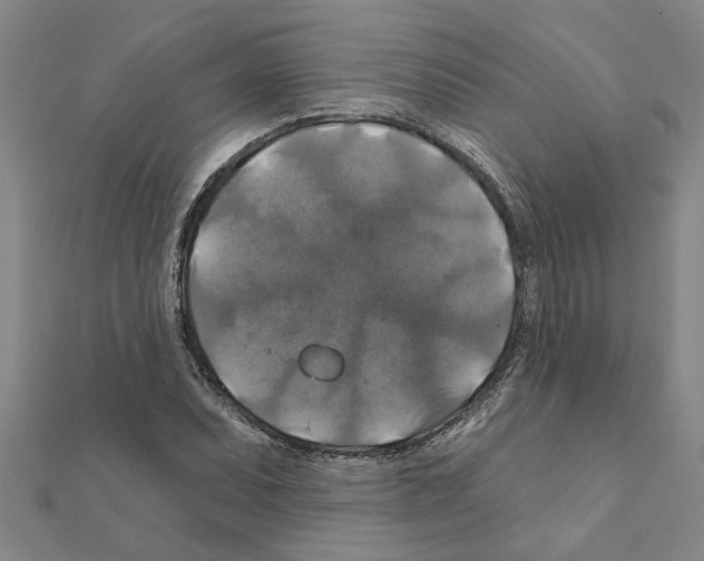 X0000111201071200908121105