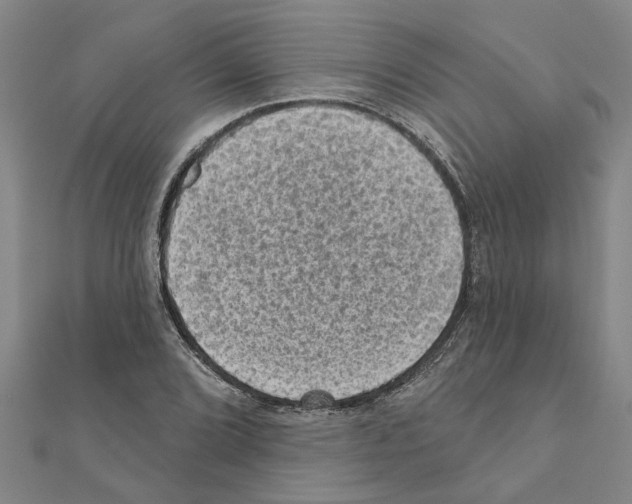 X0000111201072200908121105