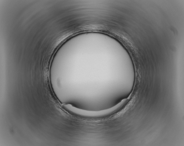 X0000111201073200908121105