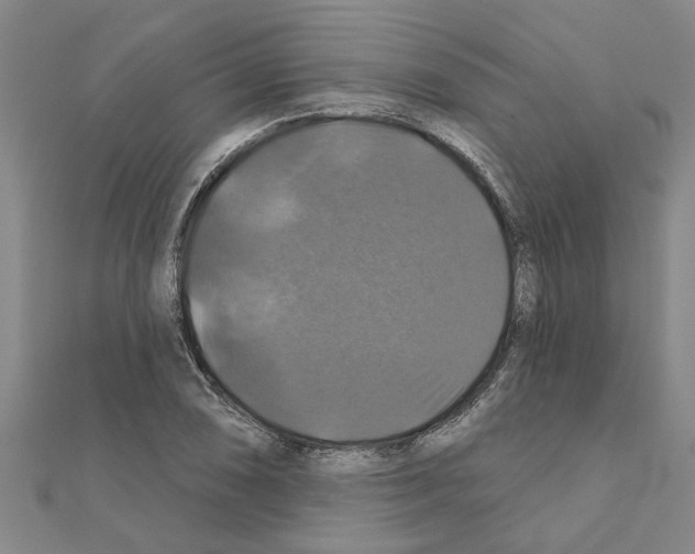 X0000111201074200908121105