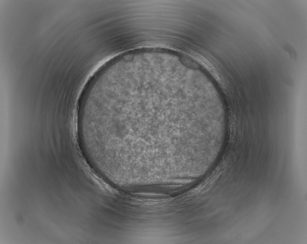 X0000111201076200908121105