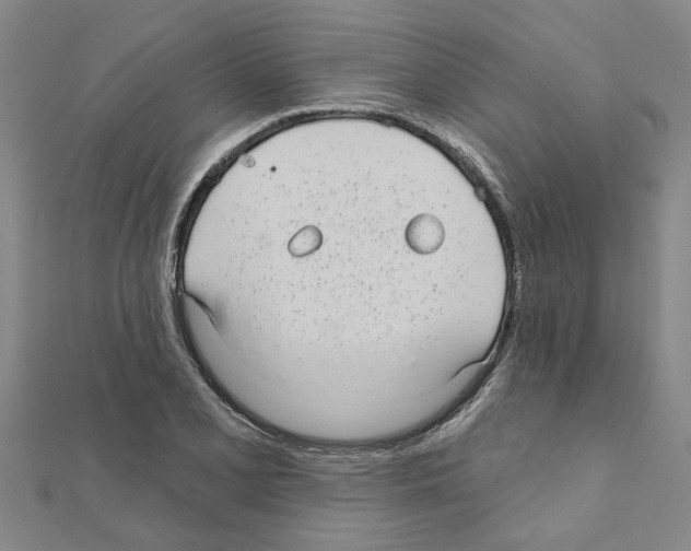 X0000111201077200908121105