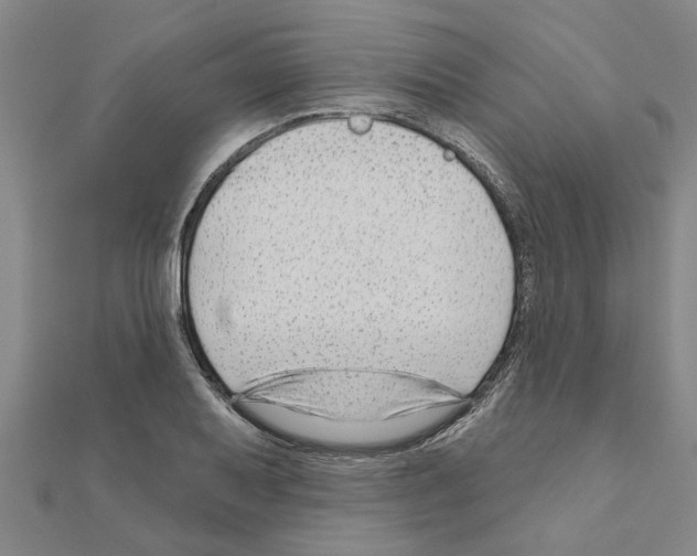 X0000111201079200908121105