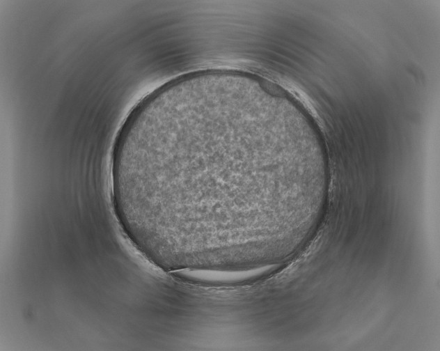 X0000111201080200908121105