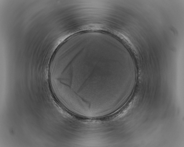 X0000111201081200908121105