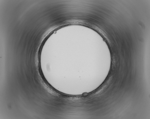 X0000111201082200908121105