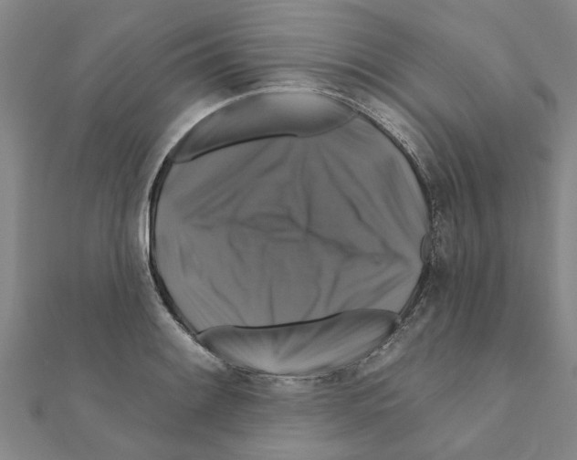 X0000111201084200908121105