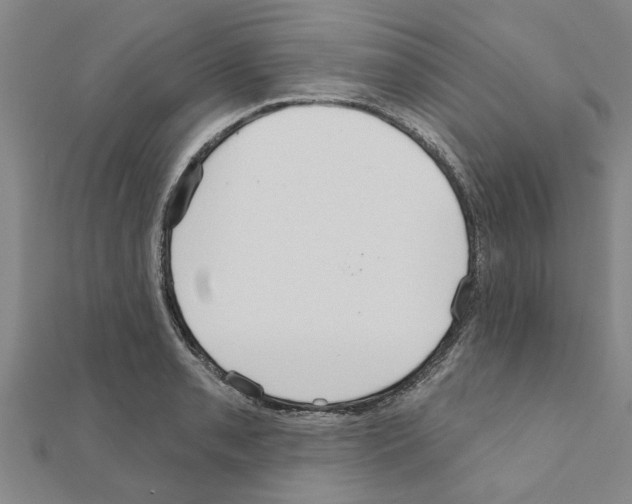 X0000111201085200908121105