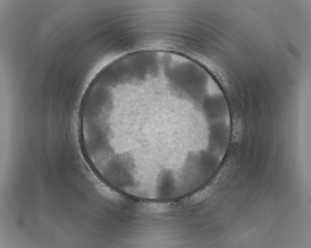 X0000111201086200908121105