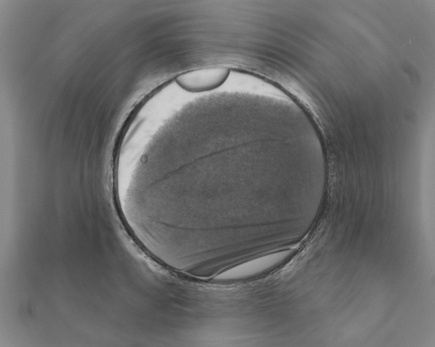 X0000111201088200908121105