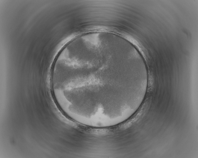 X0000111201090200908121105