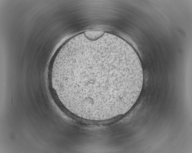 X0000111201091200908121105