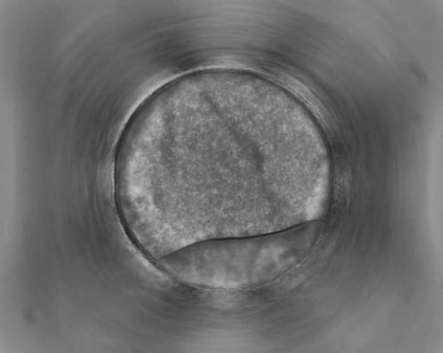 X0000111201092200908121105