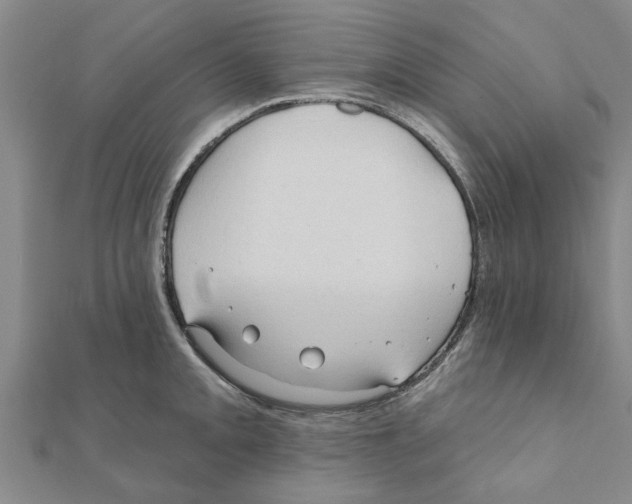 X0000111201093200908121105