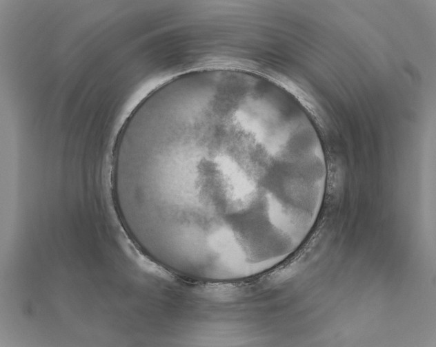 X0000111201094200908121105