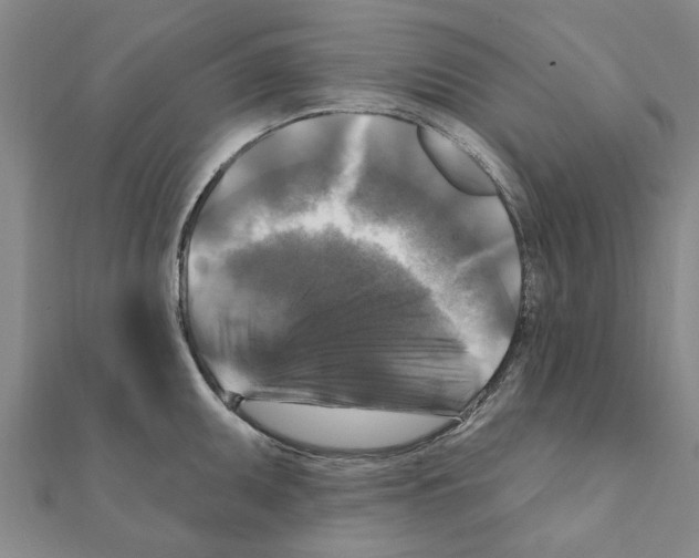 X0000111201095200908121105