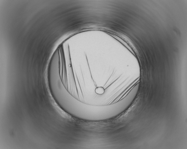 X0000111201098200908121105