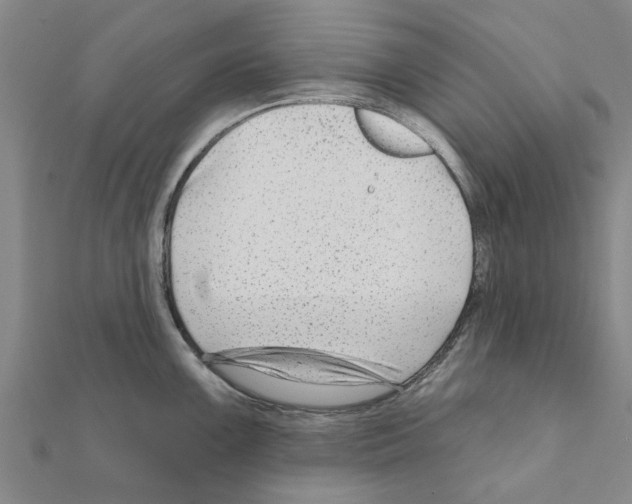 X0000111201099200908121105