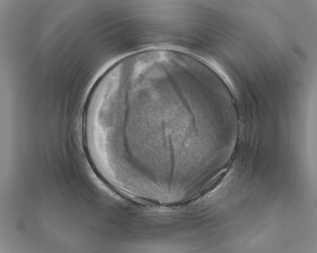 X0000111201100200908121105