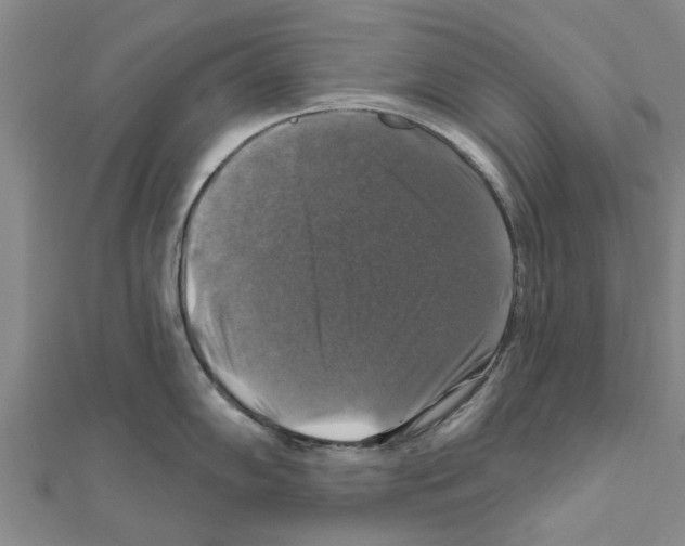 X0000111201102200908121105