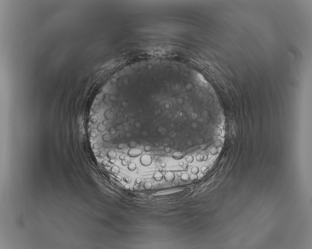 X0000111201106200908121104