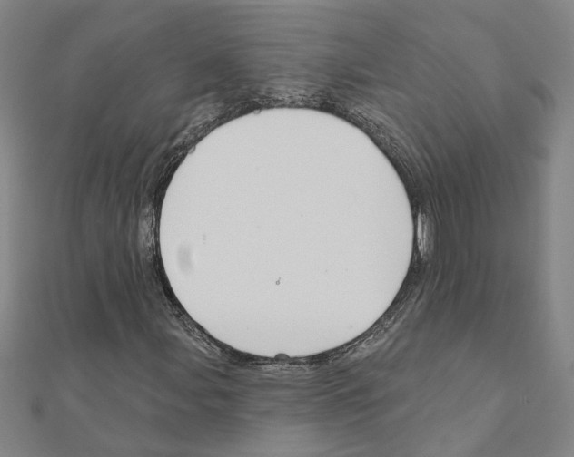 X0000111201107200908121104