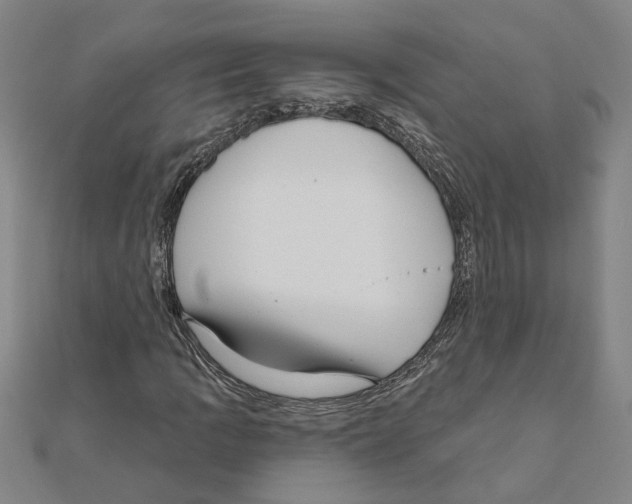 X0000111201109200908121104