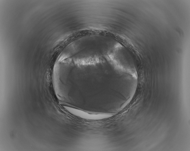 X0000111201110200908121104