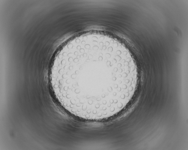 X0000111201113200908121104