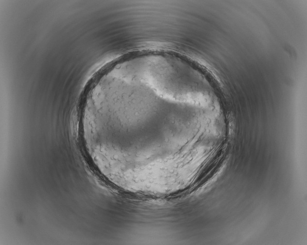 X0000111201117200908121104