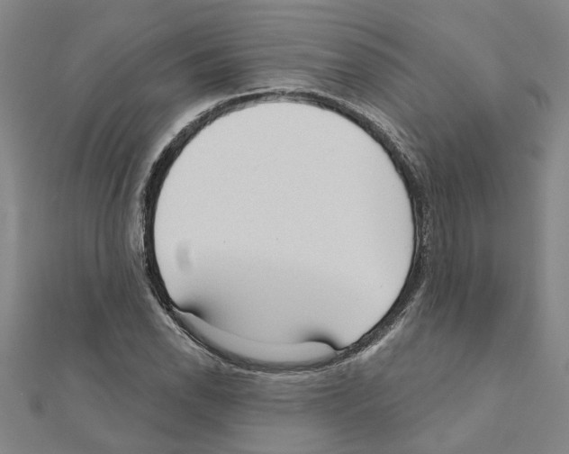 X0000111201118200908121104