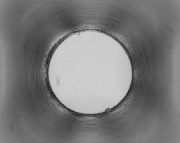 X0000111201119200908121104