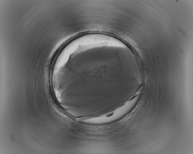 X0000111201120200908121104