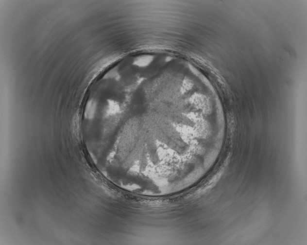 X0000111201121200908121104