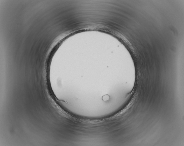 X0000111201122200908121104