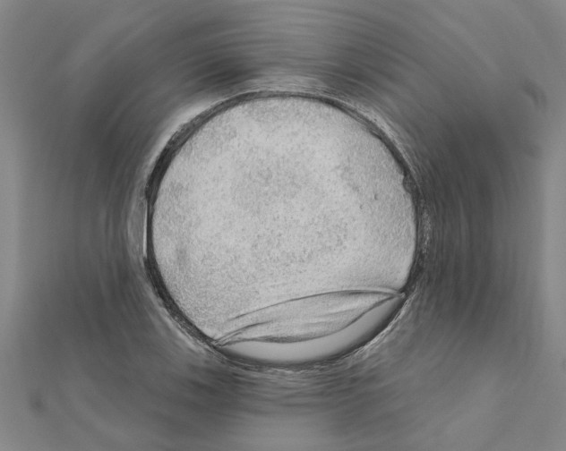 X0000111201123200908121104