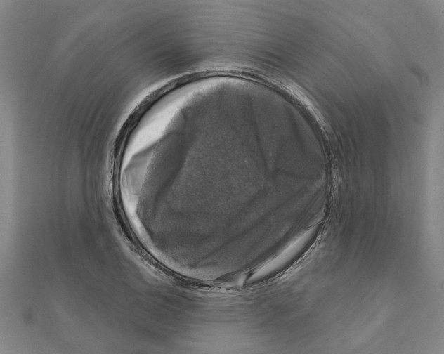 X0000111201124200908121104