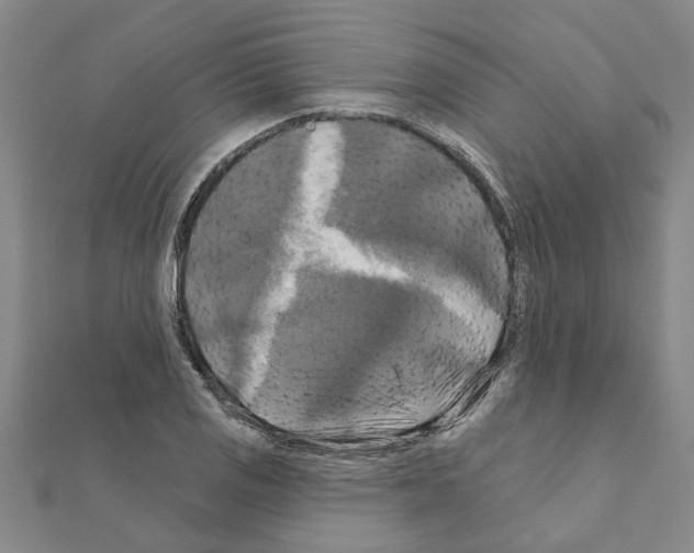 X0000111201125200908121104